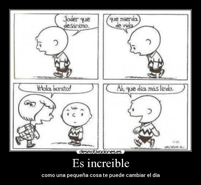 Es increible - 