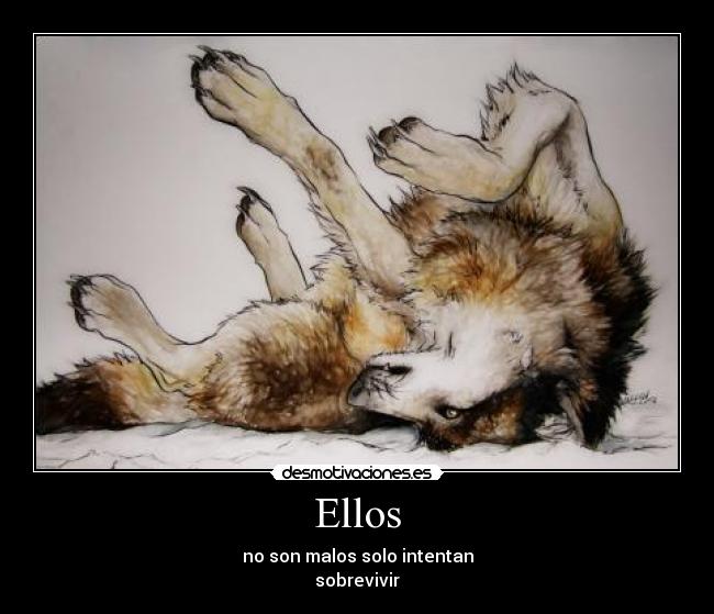 carteles lobo nieve desmotivaciones