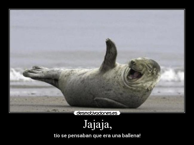 Jajaja, - tío se pensaban que era una ballena!