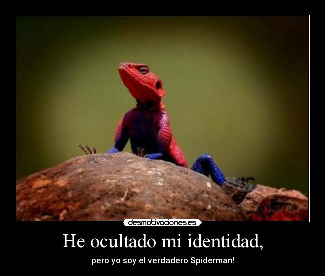 He ocultado mi identidad, - pero yo soy el verdadero Spiderman!