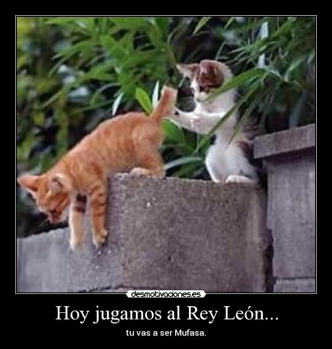 Hoy jugamos al Rey León... -
