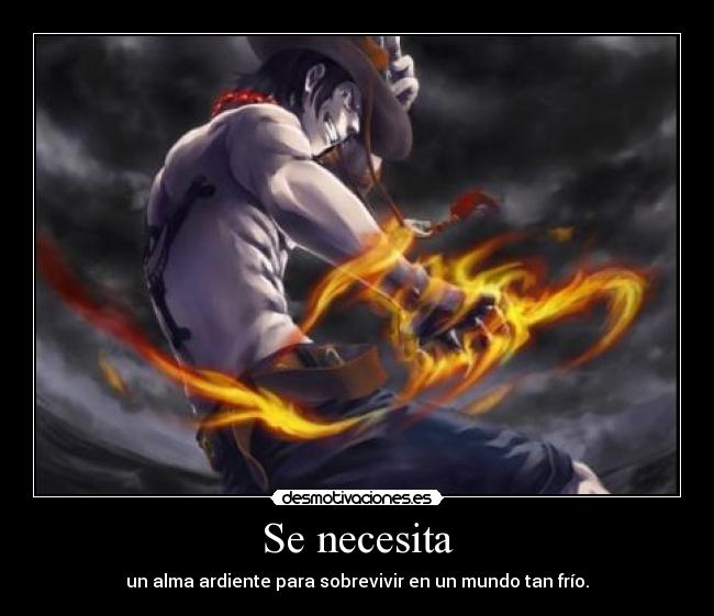 carteles one piece portgas ace puno fuego alma ardiente ronoa desmotivaciones