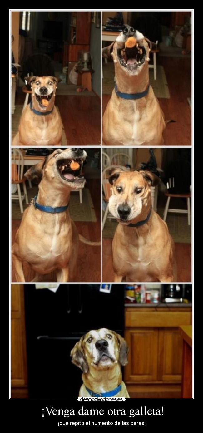 ¡Venga dame otra galleta! - ¡que repito el numerito de las caras!