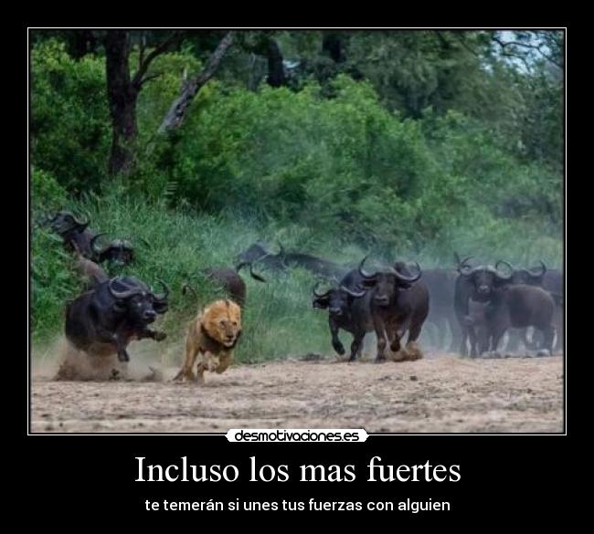 Incluso los mas fuertes -