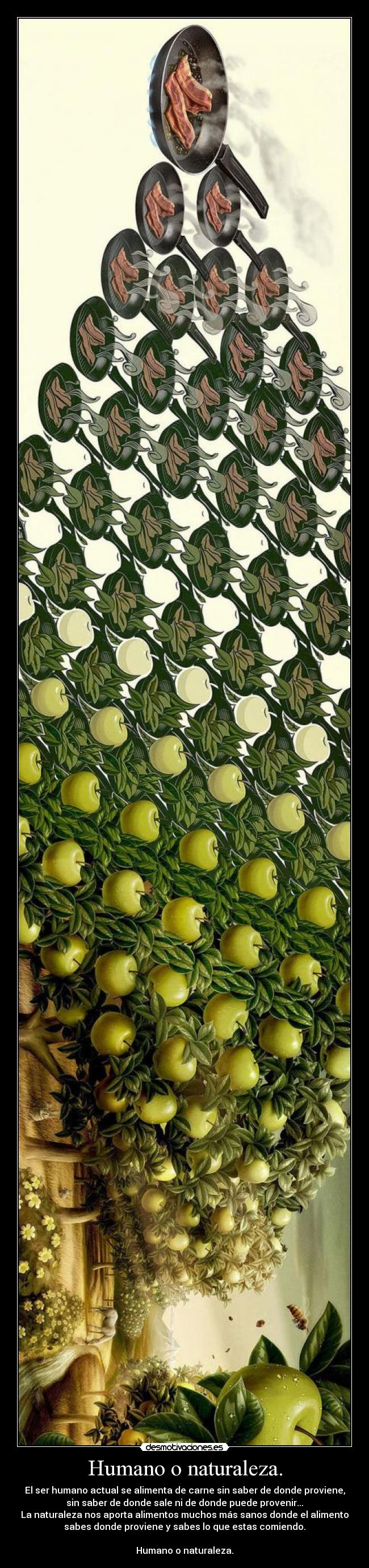 Humano o naturaleza. - 