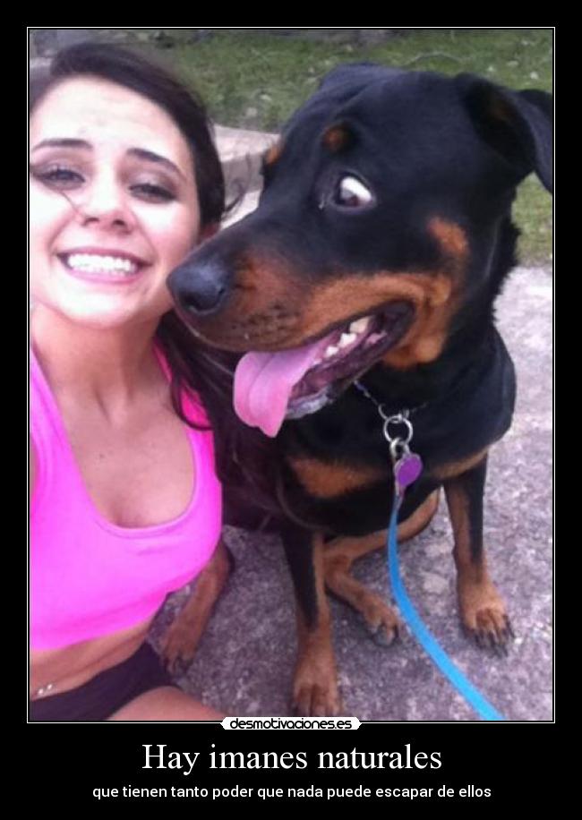 Hay imanes naturales -