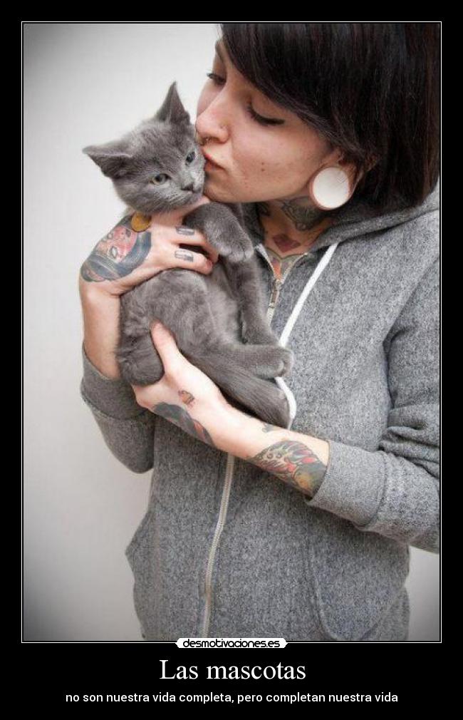 Las mascotas - no son nuestra vida completa, pero completan nuestra vida