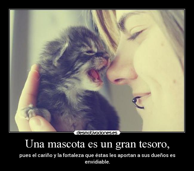 Una mascota es un gran tesoro, - pues el cariño y la fortaleza que éstas les aportan a sus dueños es envidiable.