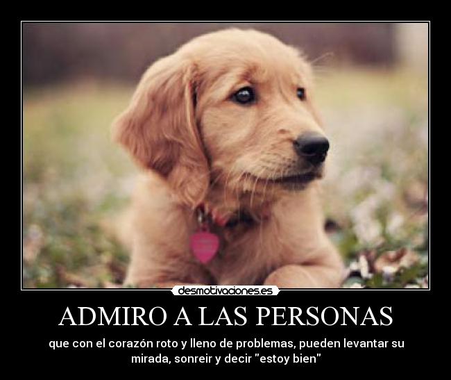 ADMIRO A LAS PERSONAS - que con el corazón roto y lleno de problemas, pueden levantar su
mirada, sonreir y decir estoy bien