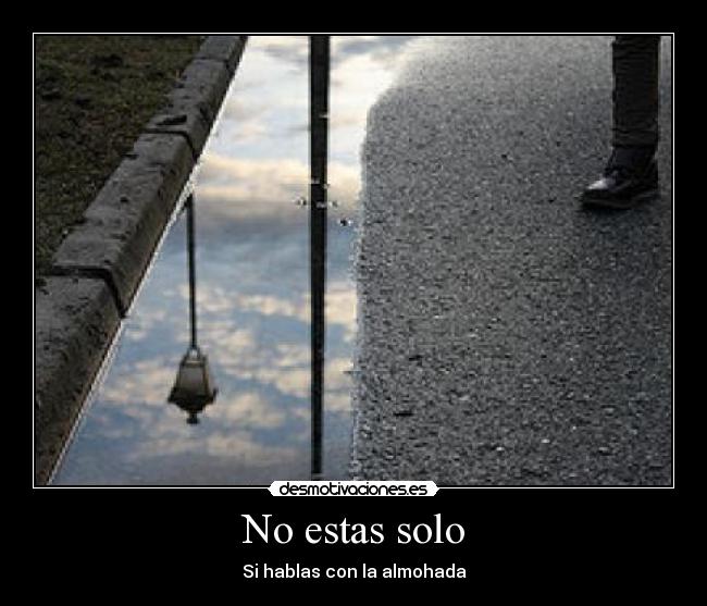 No estas solo - 