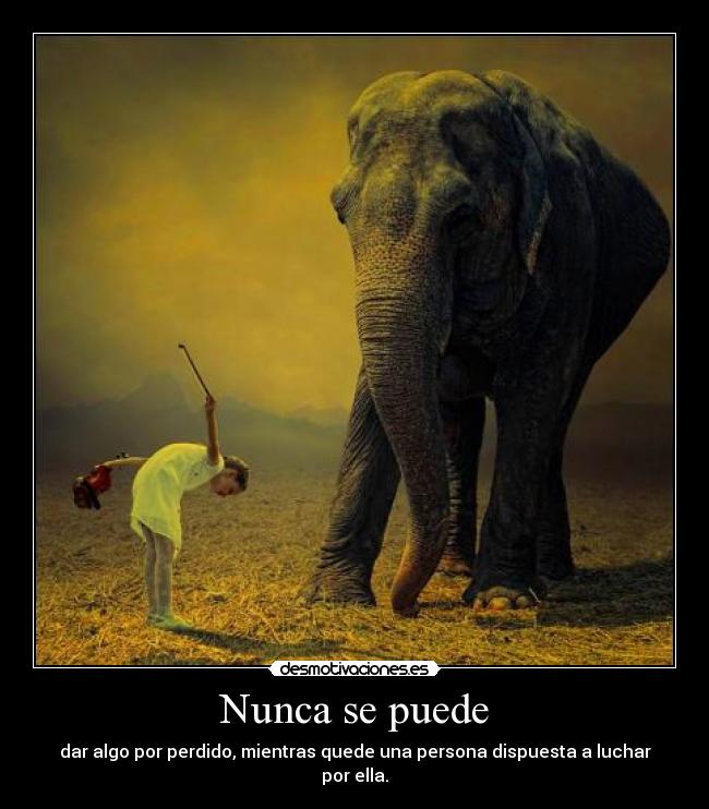 carteles wise mentalist0001 menos escucha alguien aunque sea elefante pero alguien desmotivaciones