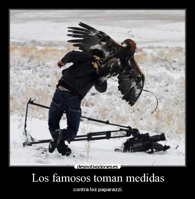 Los famosos toman medidas - contra los paparazzi.