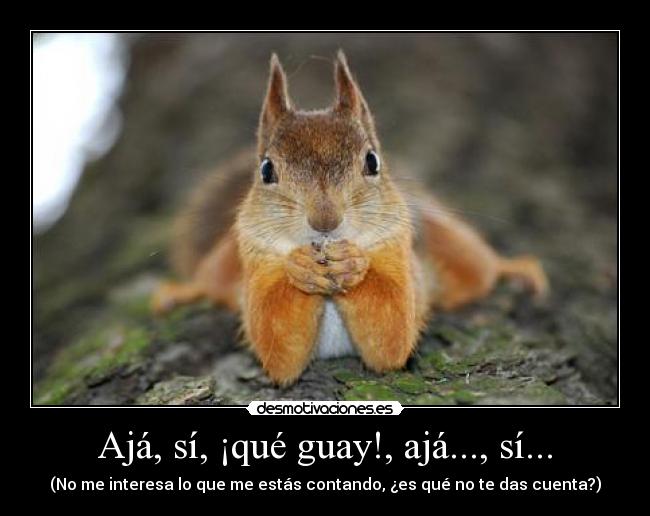 Ajá, sí, ¡qué guay!, ajá..., sí... -