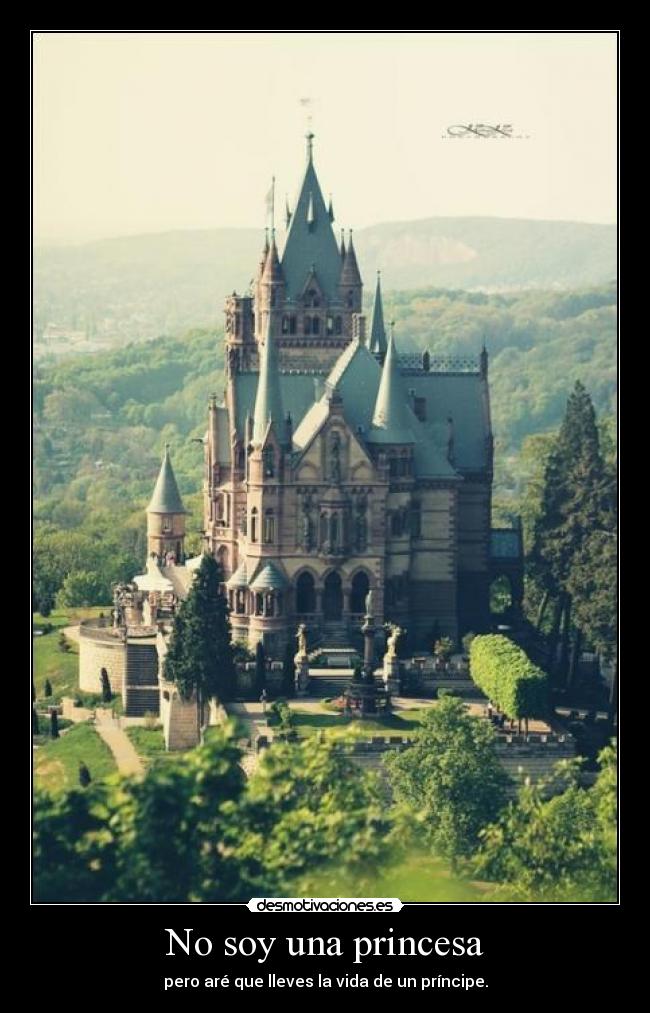 carteles not princess desmotivaciones