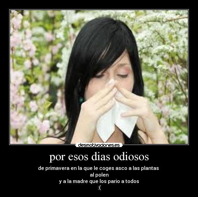 por esos dias odiosos - de primavera en la que le coges asco a las plantas 
al polen
y a la madre que los pario a todos
:(