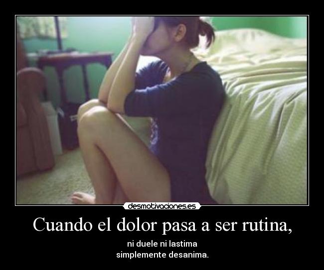 carteles dolor malafrutanuncamuere laik rapera profeziona desmotivaciones