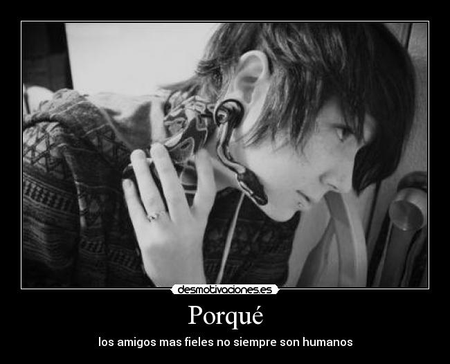 Porqué - los amigos mas fieles no siempre son humanos