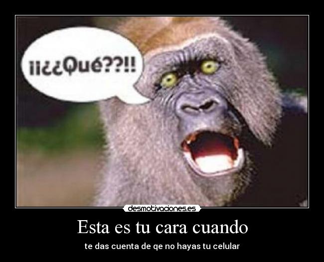 Esta es tu cara cuando - te das cuenta de qe no hayas tu celular