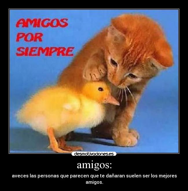 amigos: - aveces las personas que parecen que te dañaran suelen ser los mejores amigos.