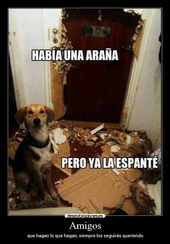 carteles amigos amigos amistad perros desmotivaciones