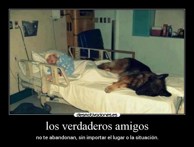 los verdaderos amigos - 