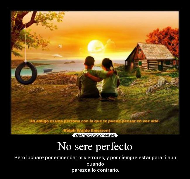 No sere perfecto - 