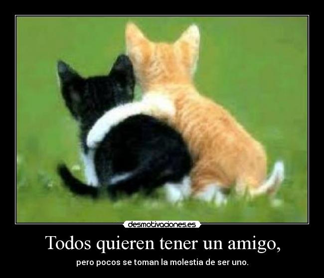 Todos quieren tener un amigo, -