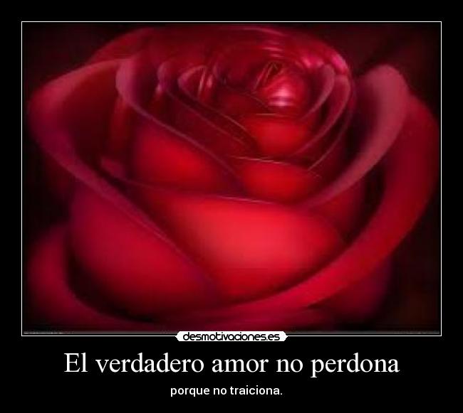 carteles amor amor desmotivaciones