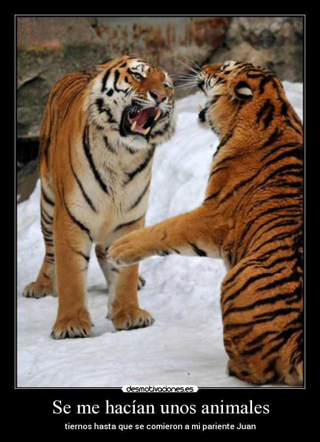 Se me hacían unos animales - 