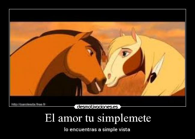El amor tu simplemete - lo encuentras a simple vista