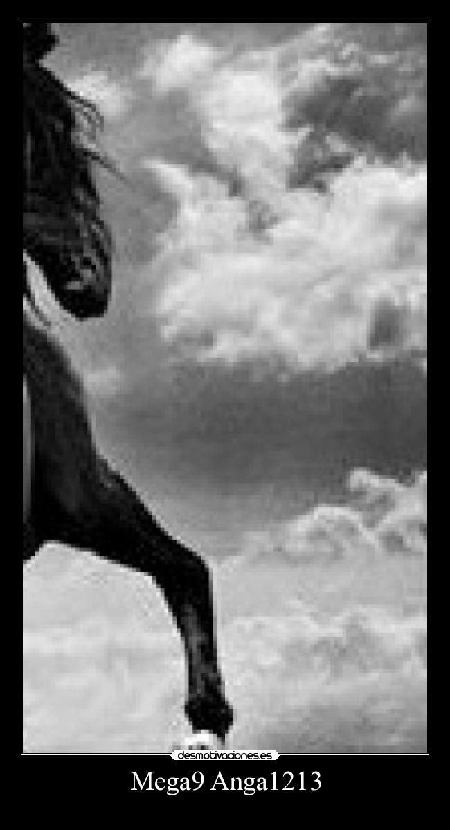 Mega9 Anga1213 -