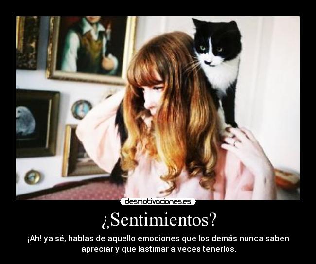 carteles sentimientos sentimientos emociones desprecio desmotivaciones