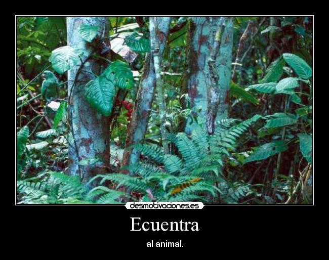 Ecuentra - 