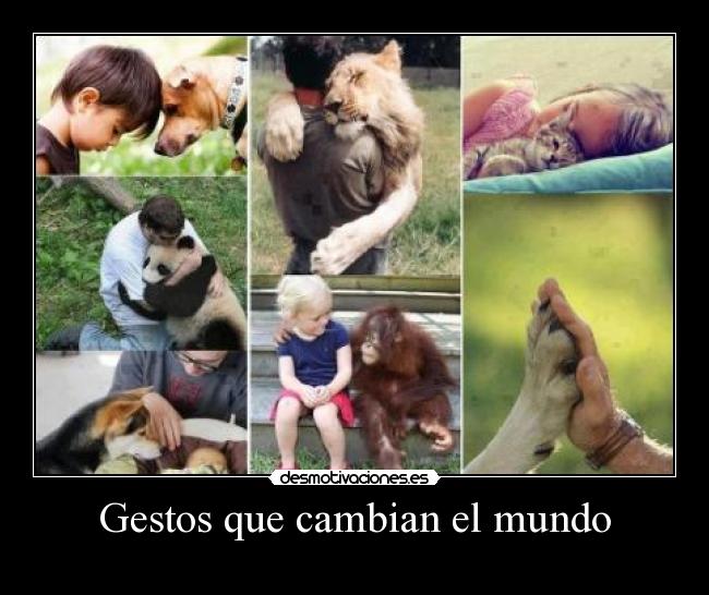 Gestos que cambian el mundo -