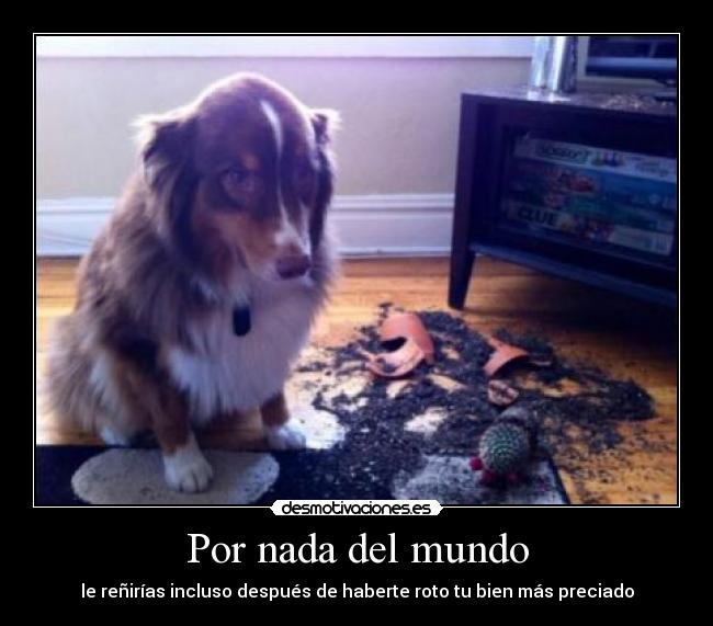 Por nada del mundo - le reñirías incluso después de haberte roto tu bien más preciado