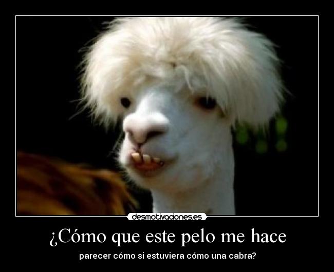 ¿Cómo que este pelo me hace - 