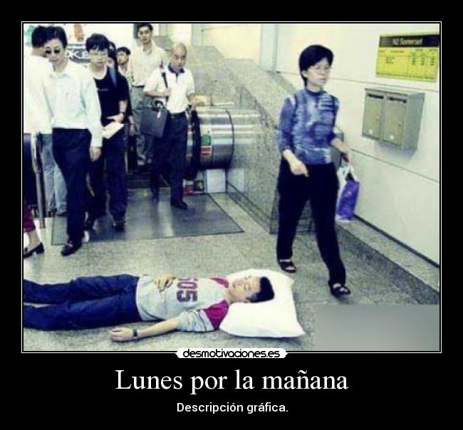 Lunes por la mañana - Descripción gráfica.