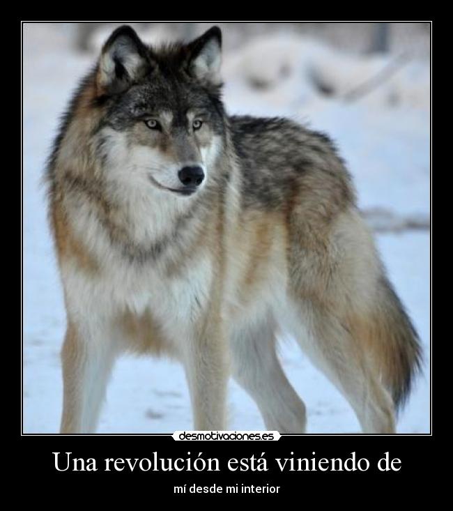 Una revolución está viniendo de - mí desde mi interior