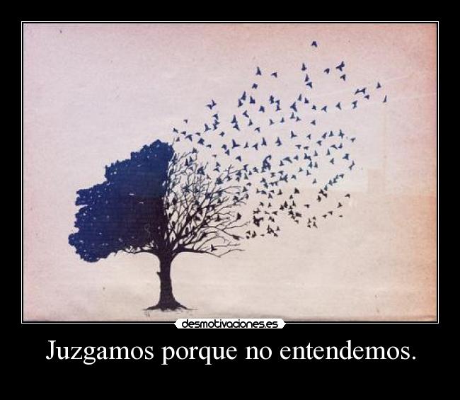 Juzgamos porque no entendemos. -