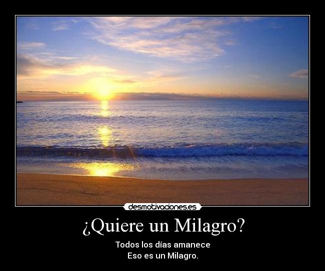 ¿Quiere un Milagro? -