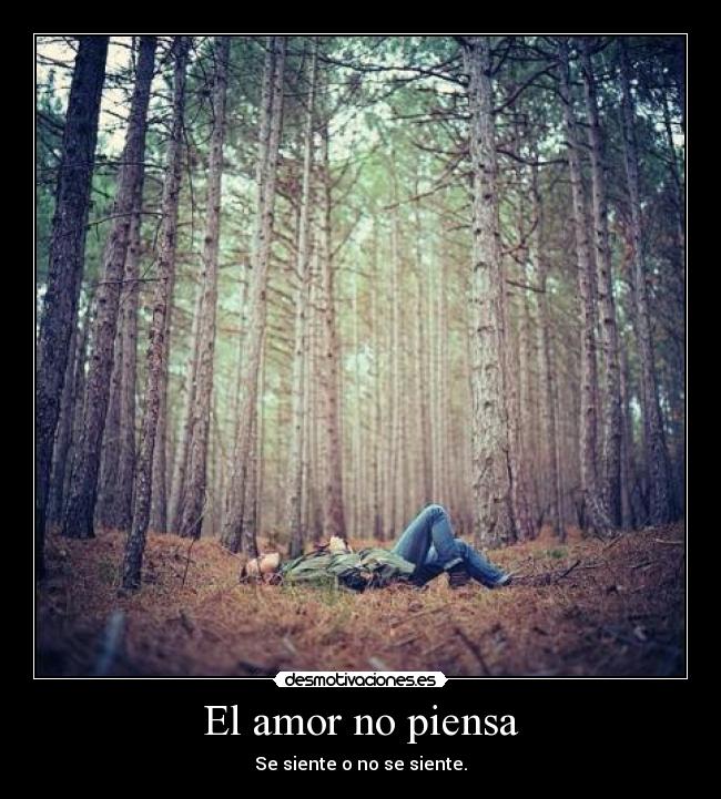 El amor no piensa - Se siente o no se siente.