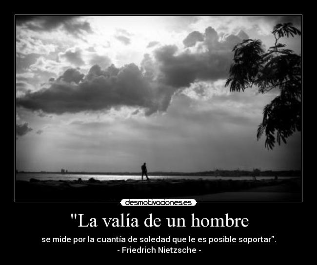 carteles valentia soledad friedrich nietzsche desmotivaciones