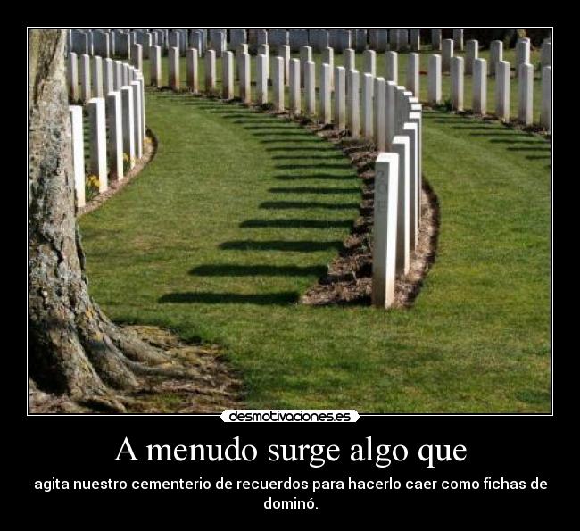 carteles sora desmotivaciones