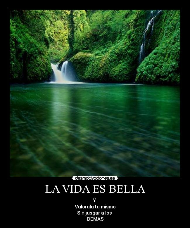 carteles vida valora desmotivaciones