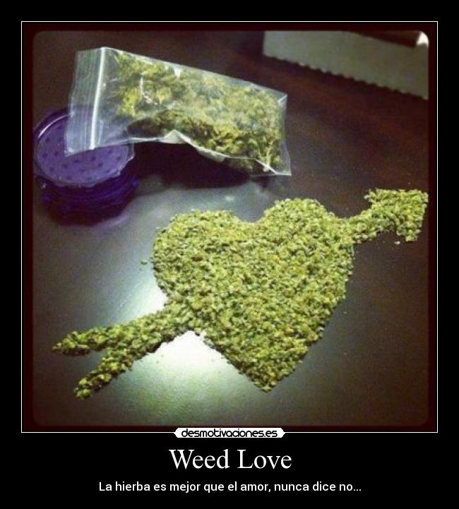 Weed Love - La hierba es mejor que el amor, nunca dice no...