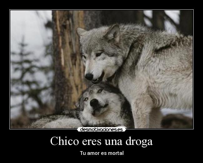 Chico eres una droga -