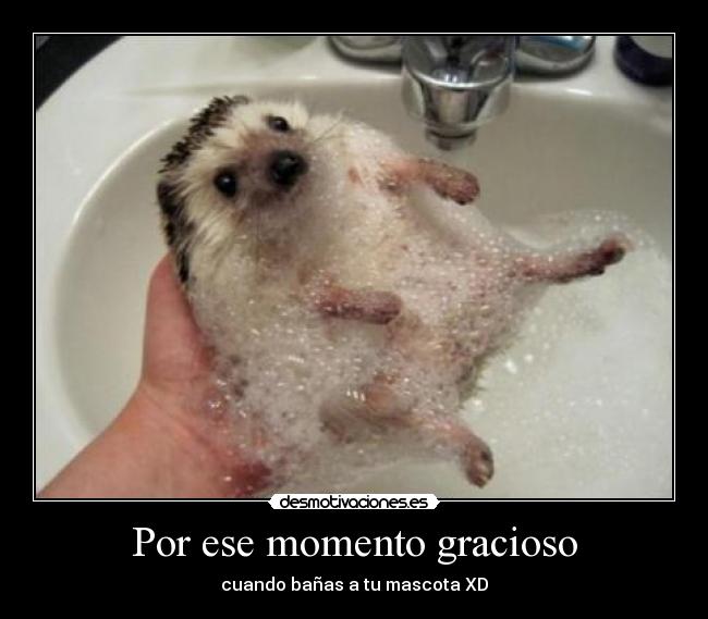 Por ese momento gracioso -