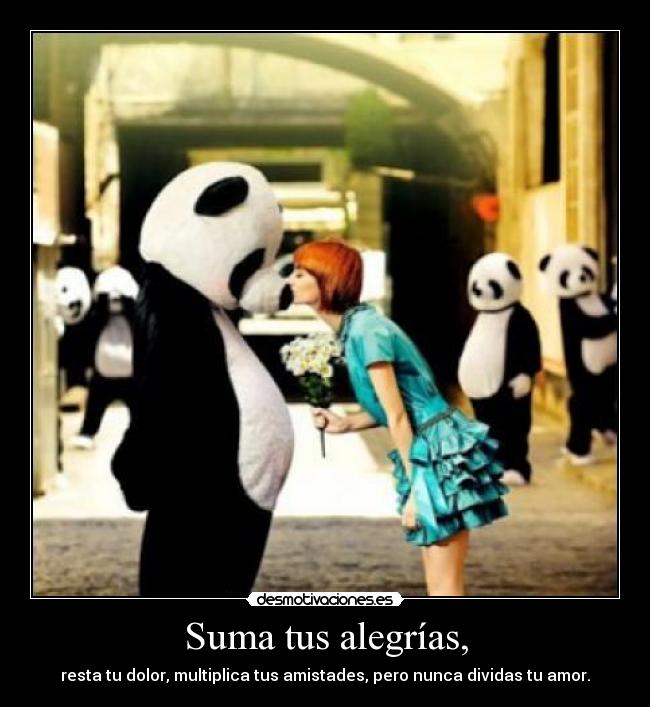 Suma tus alegrías, - resta tu dolor, multiplica tus amistades, pero nunca dividas tu amor.