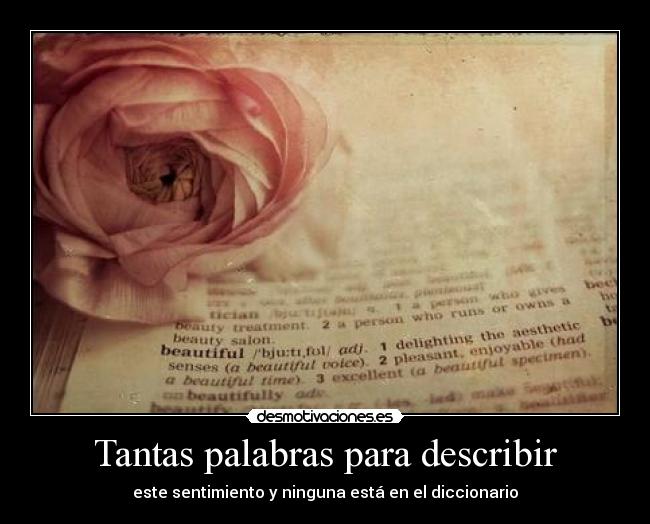 Tantas palabras para describir - este sentimiento y ninguna está en el diccionario