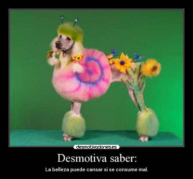 Desmotiva saber: - La belleza puede cansar si se consume mal.